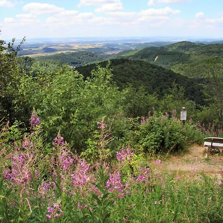 Gemuetliche Mit Grossem Garten * Walkenried