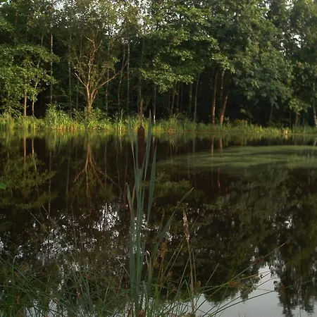 Gemuetliche Mit Grossem Garten Walkenried